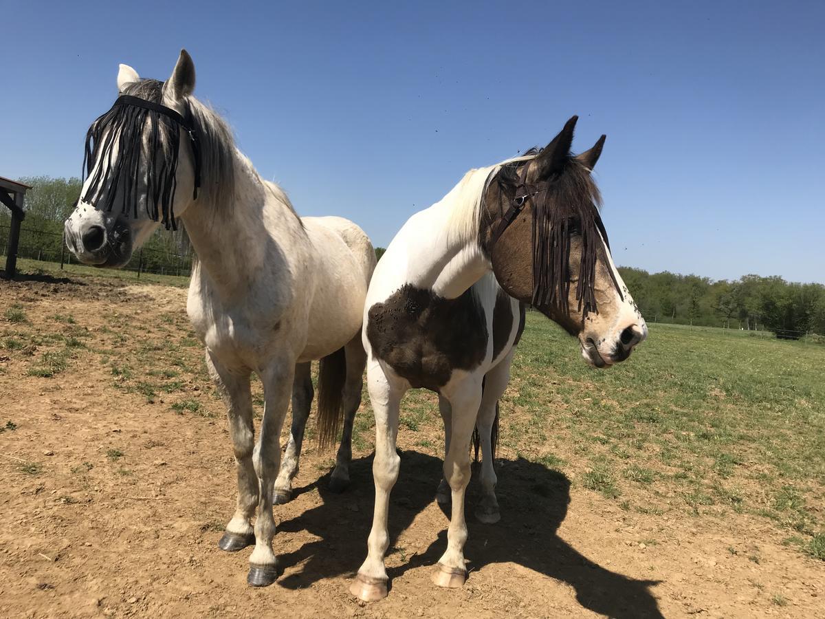 منزل الضيف Lanouaille  في Coachella المظهر الخارجي الصورة